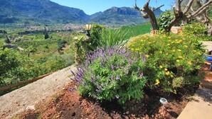 Un giardino con diverse piante e fiori, un lampione e vista su un paesaggio montuoso.