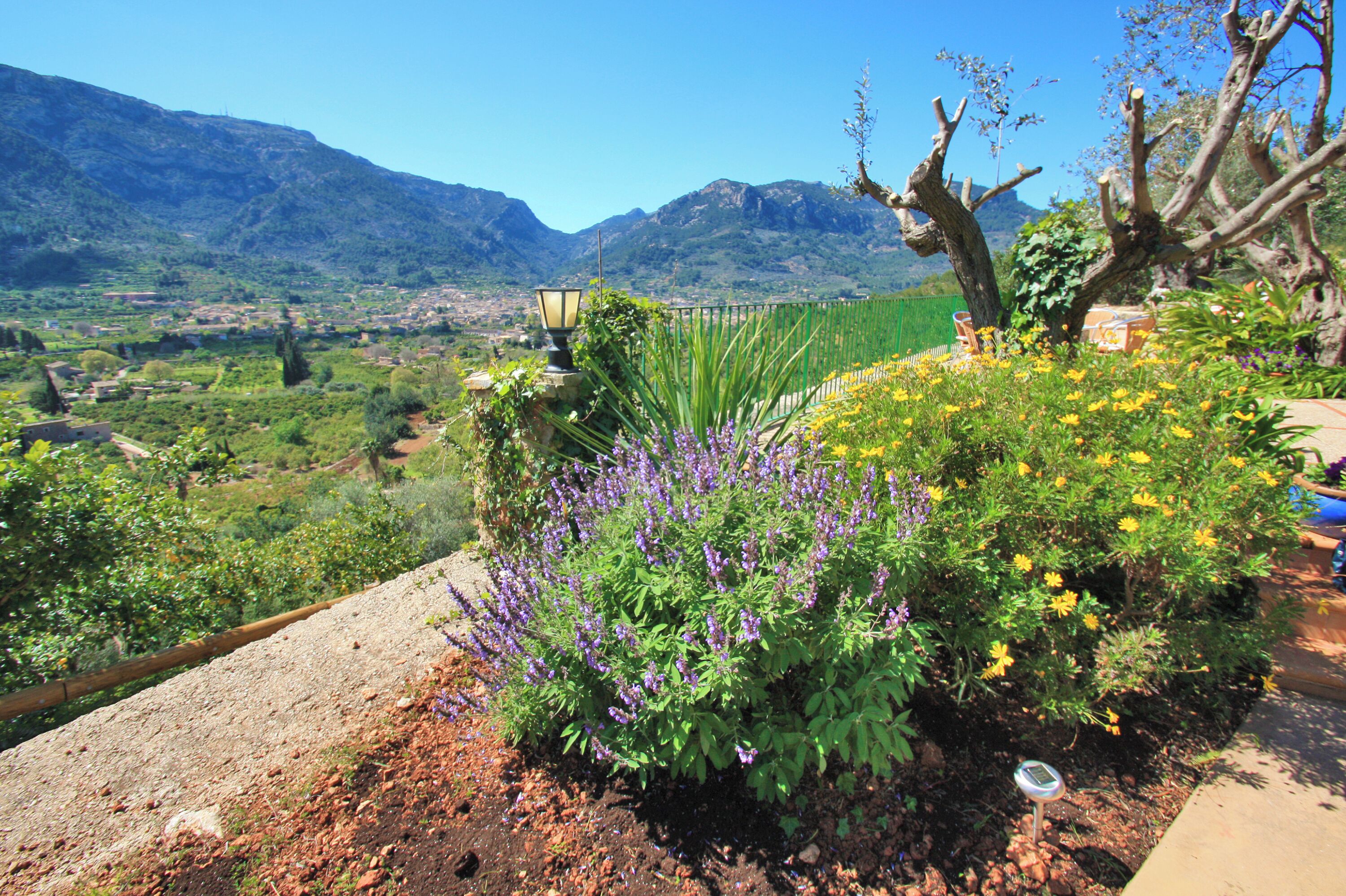 Overnatningsstedets område