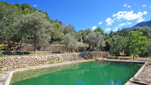 Una piscina circondata da mura in pietra e alberi.