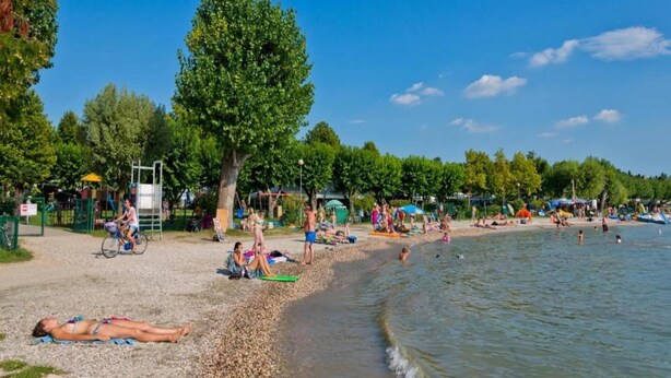 A beach with people sunbathing and swimming, a playground, and a large tree.