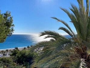 Unclassified image, 2 of 39, button