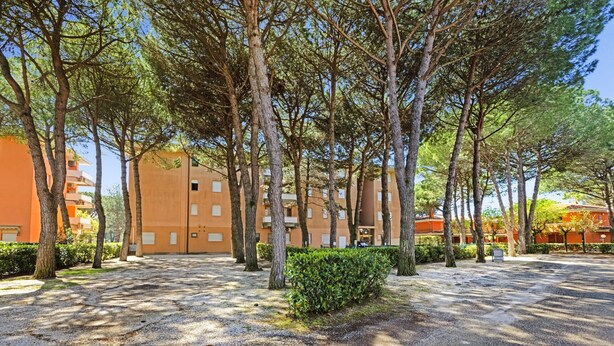 A courtyard with trees, a gravel path, and a building with multiple windows and balconies.