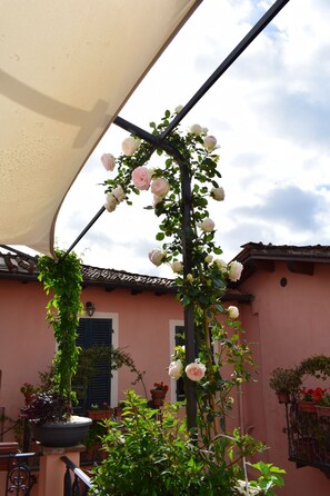 A rose arbor with climbing roses against a building facade.