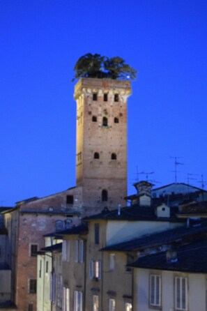 Ein historischer Turm mit Baum auf der Spitze, umgeben von Gebäuden mit sichtbaren Fenstern und Balkonen.
