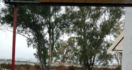 Casita Azul 2, sunny and independent.