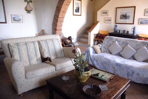 Télévision, cheminée