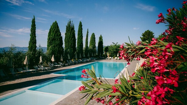 A swimming pool with lounge chairs and umbrellas, surrounded by tall trees and flowering plants. - Residence in San Donato Fronzano with 2 bedrooms sleeps 4 (San Donato Fronzano)