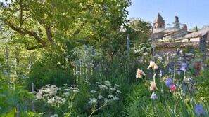 ا لمنطقة المحيطة بالمنشأة