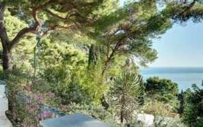 Paesaggio costiero con vista sul mare, immerso nel verde e alberi.