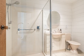 A modern bathroom with a glass shower enclosure, a white sink, and a toilet.