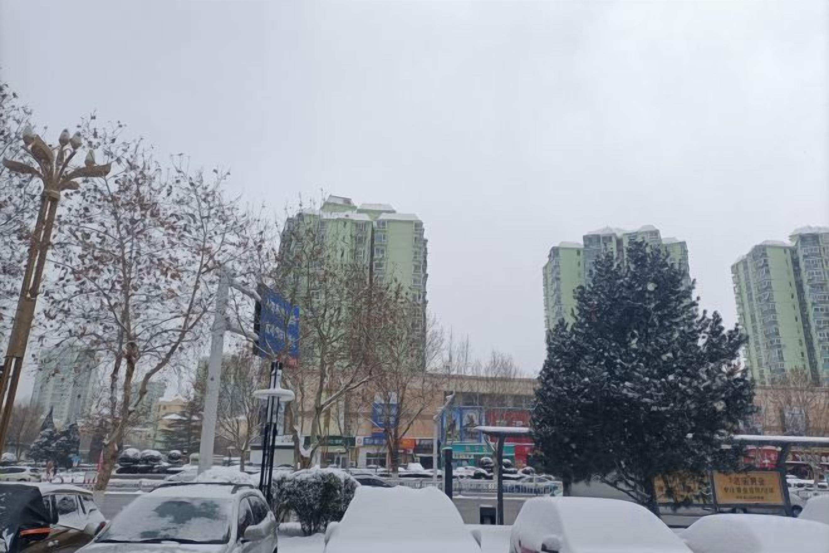 Ένας χιονισμένος αστικός δρόμος με σταθμευμένα αυτοκίνητα και ψηλά κτίρια.