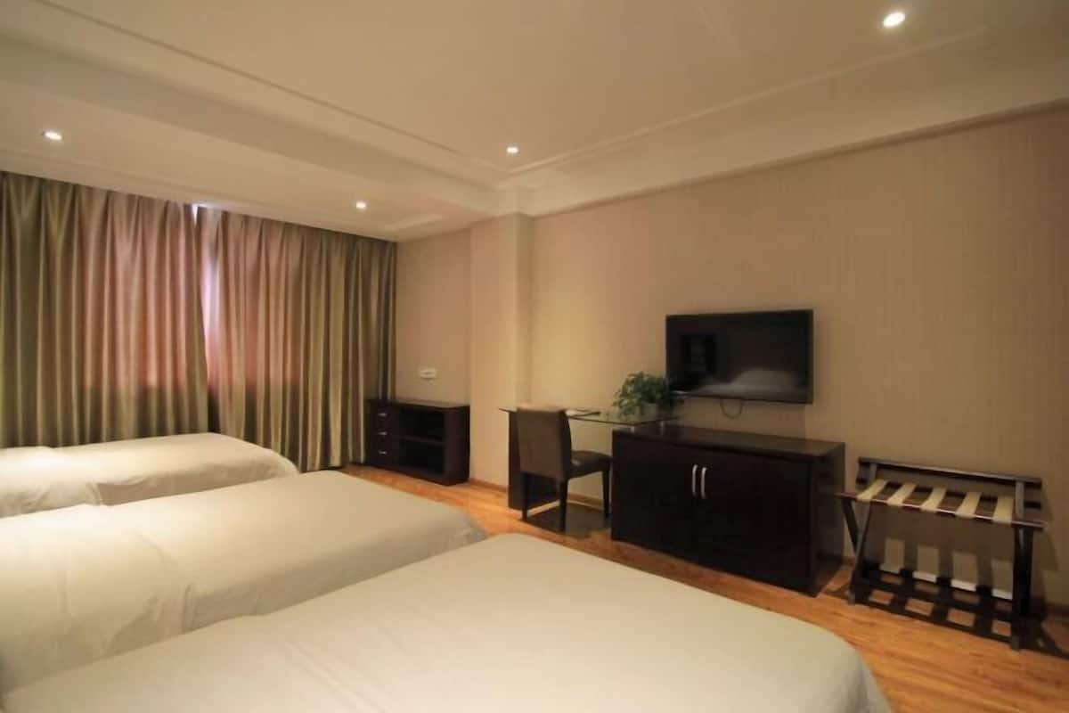 A hotel room with two beds, a desk, a chair, a TV, and a small table with a plant.
