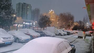 A parking lot with several cars covered in snow, a building with illuminated windows, and a tree with lights in the background.