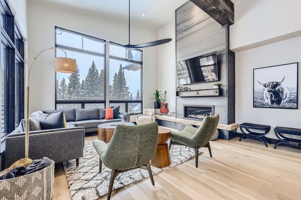 TV, fireplace, offices