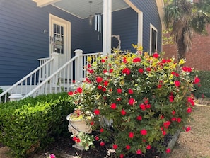 BBQ/picnic Area - The Beaumont House (Natchez)