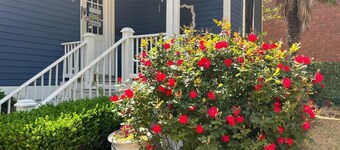 The Beaumont House