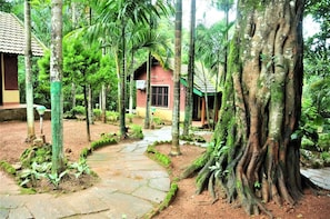 Área da propriedade