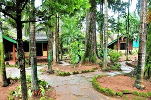 Property grounds - Exotic Stay in The Greenery (Madikeri)