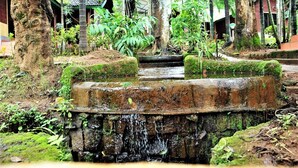 Una pequeña cascada en un jardín exuberante con escalones de piedra y plantas tropicales.