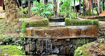 Exotic Stay in The Greenery