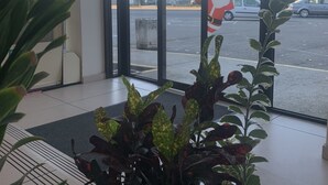 Vista a través de un ventanal con decoraciones festivas, incluyendo una figura de Papá Noel, y un estacionamiento con coches.