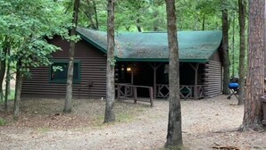 A rustic cabin with a green roof, surrounded by tall trees. - Crabapple Cove | Sleeps 8 | Porch Swing, Fire Pit & Near Beavers Bend (Broken Bow)