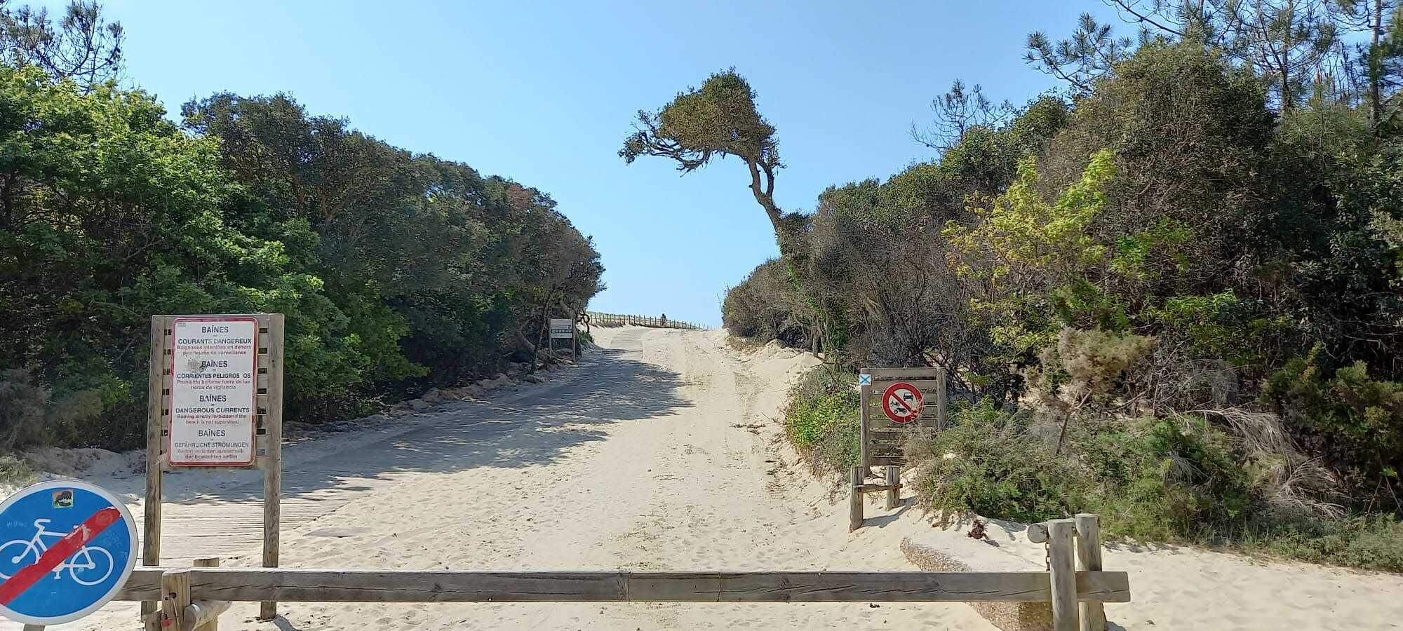 A sandy beach path with a wooden gate, surrounded by dense greenery and trees.