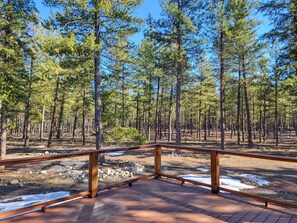 Une terrasse en bois, dotée d’une rambarde en métal, qui offre une vue sur une forêt de pins.