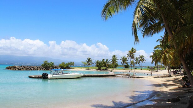 A beach with a boat docked near the shore, palm trees, and a clear blue sky. - Large, cosy studio with sea view, pool and beach (Le Gosier)