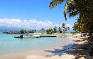 A beach with a boat docked near the shore, palm trees, and a clear blue sky. - Spacious, cozy studio with ocean views, a pool, and the beach (Le Gosier)
