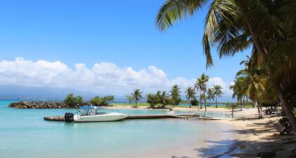 Large, cosy studio with sea view, pool and beach