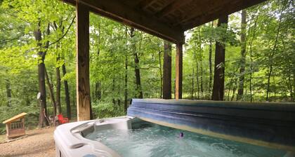 Carriage House Cabin #1 - Near Three Rivers