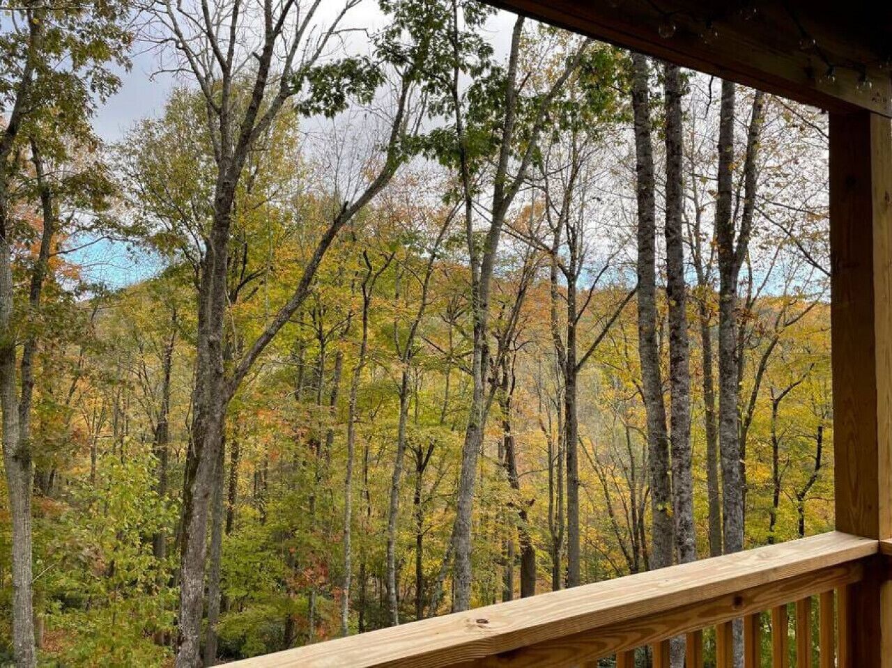 A wooden deck overlooking a forest with autumn-colored trees.