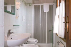 Shower, hair dryer, bidet, towels