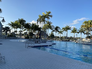 Un espace piscine avec des chaises longues et des palmiers.
