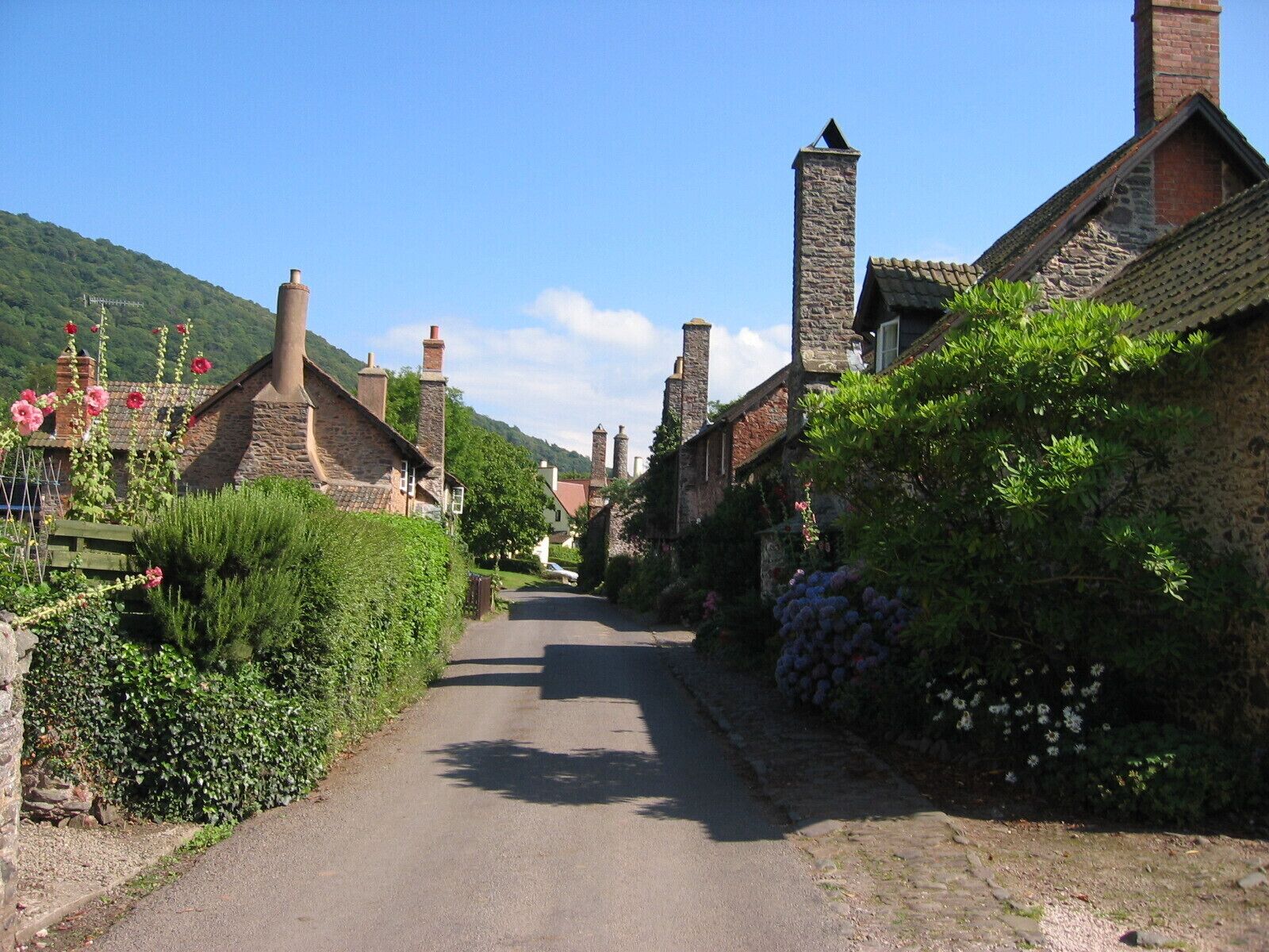 Una estrecha calle empedrada flanqueada por casas de piedra tradicionales, cada una con múltiples chimeneas y rodeada de abundante vegetación y plantas en flor.