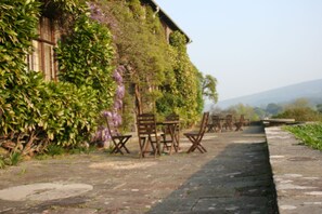 Terrace/patio - Bossington Hall (Minehead)