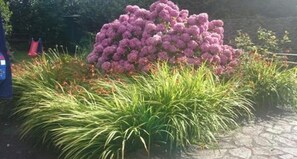 Property grounds - A wonderful stone cottage sleeps up to 5, is set in a quiet lane yet near to shops, lake etc. (Caurel)