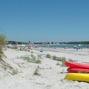 Playa en los alrededores