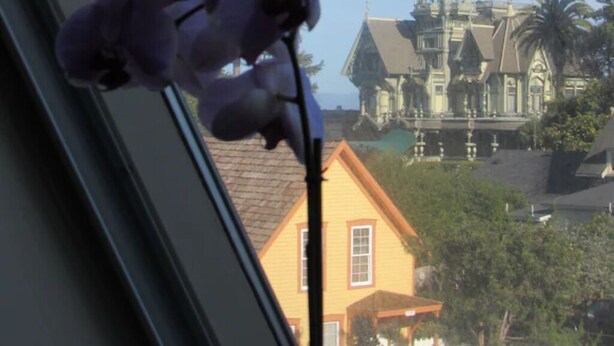 A window with a purple orchid and a view of a large, ornate building with a tower. - Victorian Mansion at Carter House Inns (Eureka)