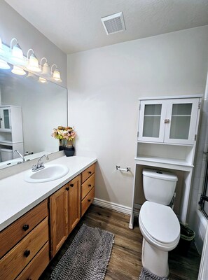 Regadera, secadora de cabello, toallas, jabón 