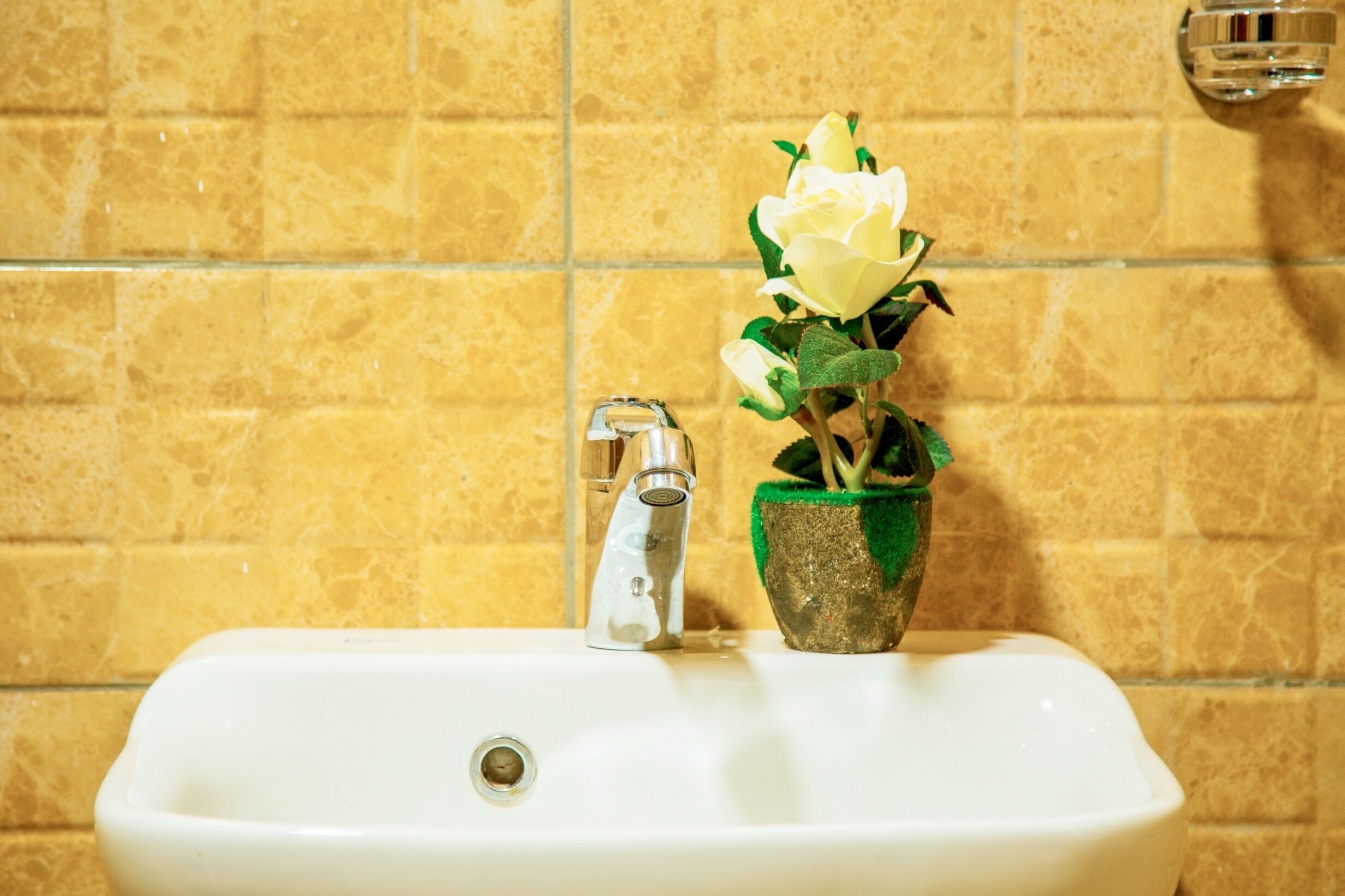 A bathroom sink with a faucet and a potted plant with white flowers.