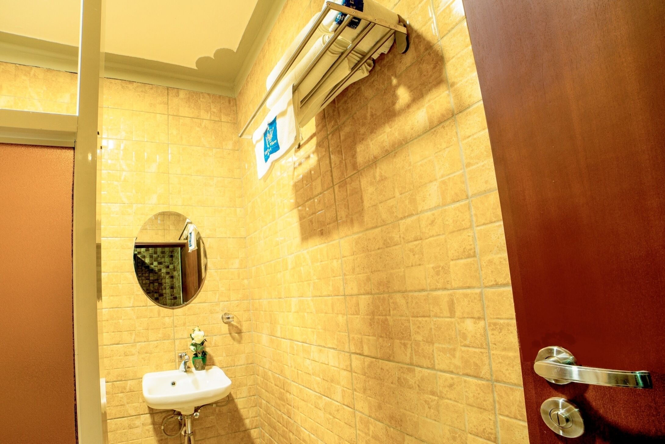 A bathroom with a sink, mirror, towel rack, and a door with a handle.
