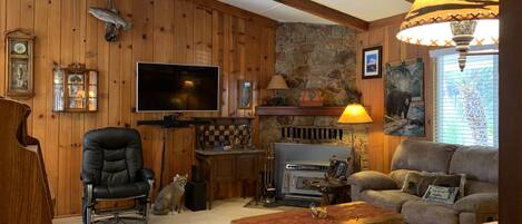 Flat-screen TV, fireplace, DVD player