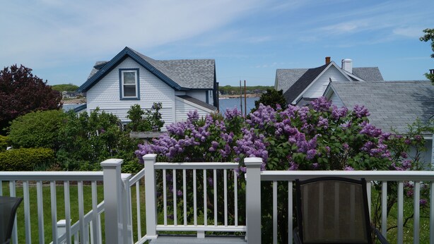 A residential area with houses, a white deck, and purple flowers. - Short Sands View - Spacious Beach Home, Sleeps 18, Easy Walk to Short Sands Beach (York)