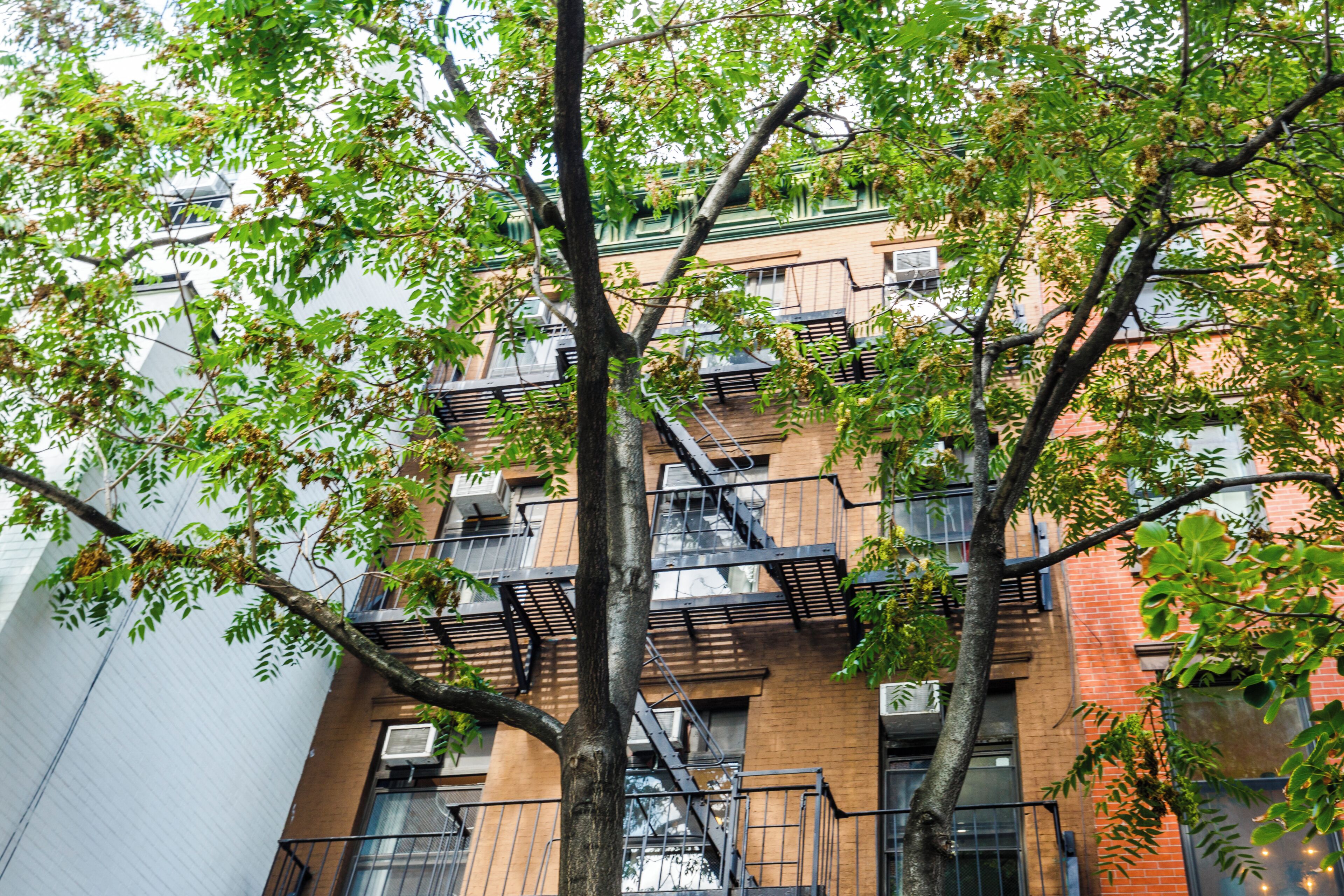 Photo - Lamartine Chelsea – Hostel