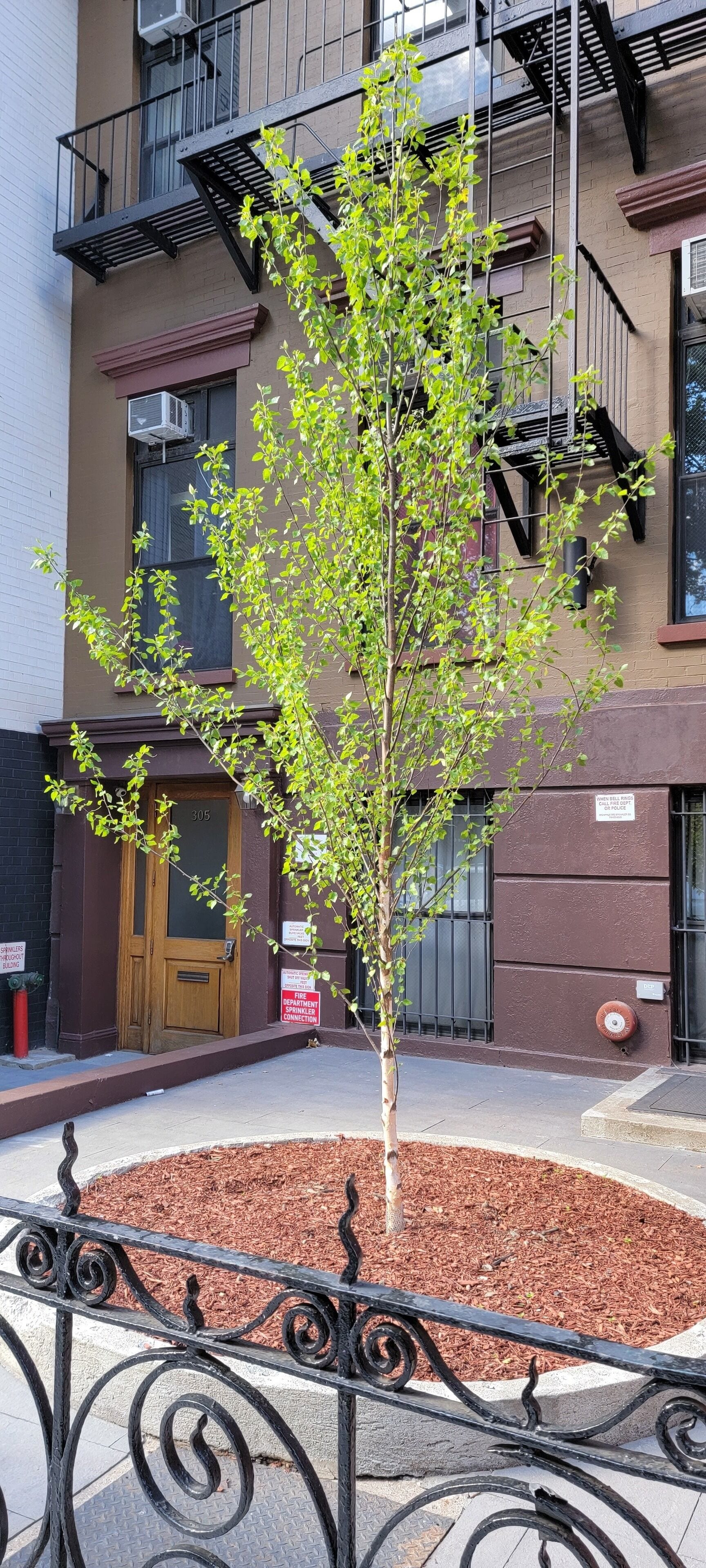 Vista frontal de la propiedad