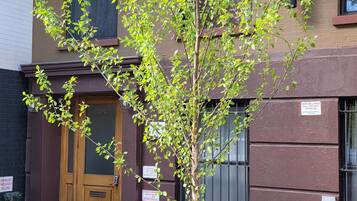 Vista frontal de la propiedad