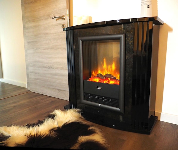 A modern fireplace with a glass front, a door with a handle, and a wooden floor. - Comfortable apartment, close to downtown and train station (Brugge)