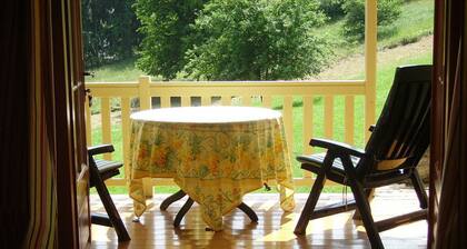 Spacious villa with fireplace